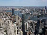 Touching the Sky Above New York City