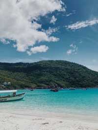 Nature Splash Dive🌊