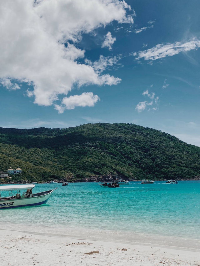 Nature Splash Dive🌊 Nature Splash Dive🌊