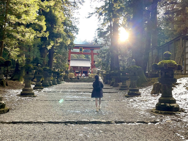 Fujiyoshida Forest Gem🌲