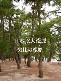 日本三大松原  曲線を描く砂浜に松林が広がる