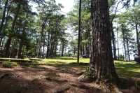 Mirador Heritage and Eco-Spirituality Park, Baguio