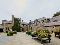 Bloom & Stillness: A Solo Escape to Picton Castle Gardens