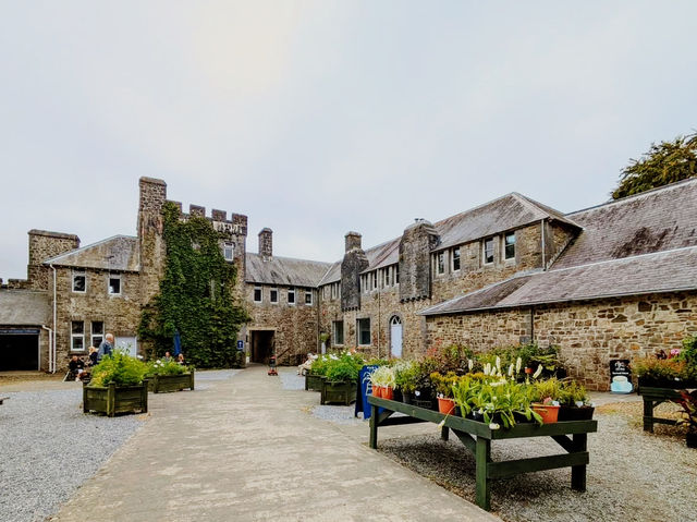 Bloom & Stillness: A Solo Escape to Picton Castle Gardens