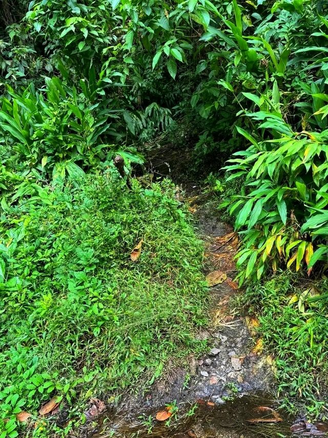 ⛰️ Putucusi Mountain – The Hidden Guardian of Machu Picchu
