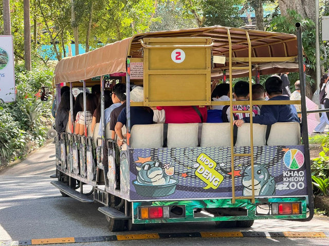 เปิดประตูสู่ป่ากว้าง! สวนสัตว์เปิดเขาเขียว เปิดประตูสู่ป่ากว้าง! สวนสัตว์เปิดเขาเขียว