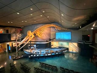 🌊 Island Escapes in Massachusetts – Where Fall Meets the Sea