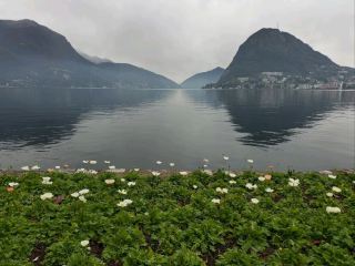 루가노 호수: 티치노, 스위스에서의 평온한 휴식처