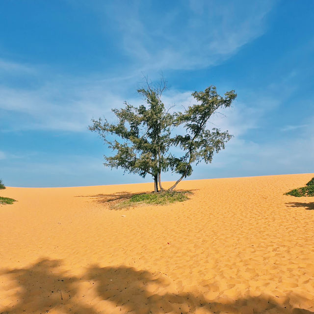 Red Sand Dunes: สัมผัสเนินทรายแดง วิวสุดมหัศจรรย์ Red Sand Dunes: สัมผัสเนินทรายแดง วิวสุดมหัศจรรย์