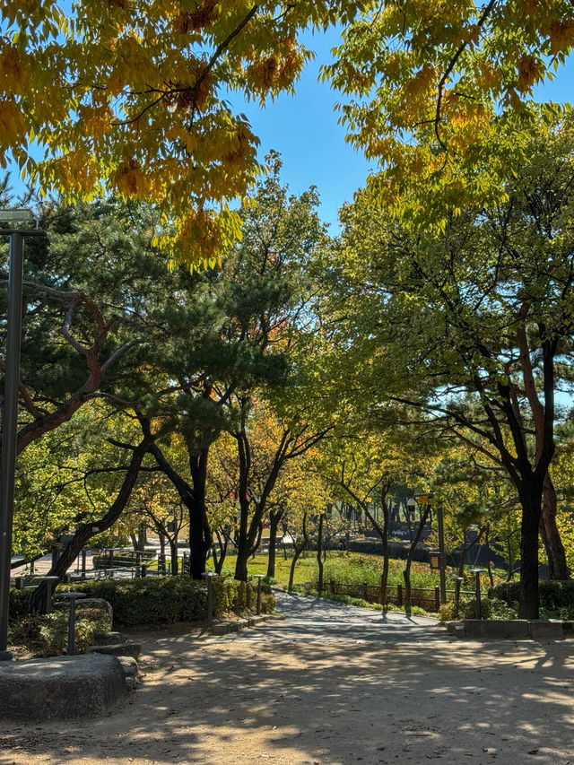 가을을 느끼기 좋은 서울 공원 추천