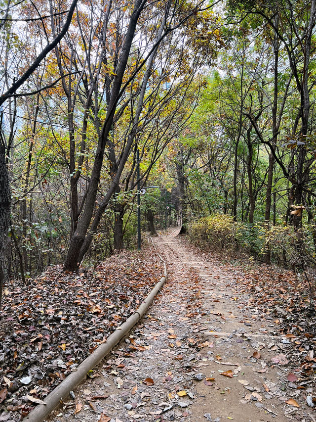 🍁걷고 또 걷고, 둘레길 걷기