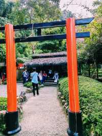 Wonders of The Great Asia Africa