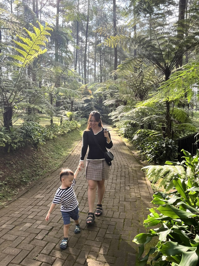 Orchid Forest cikole Orchid Forest cikole