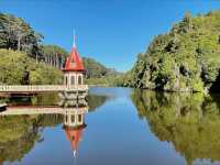 Sanctuary of Song & Forest Memory