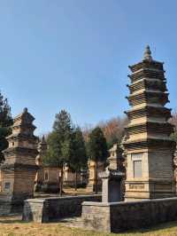 ป่าเจดีย์วัดเส้าหลิน — เงียบ งดงาม ลึกลับ