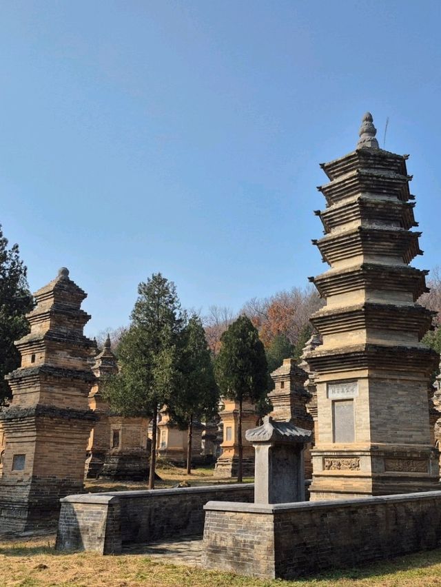 ป่าเจดีย์วัดเส้าหลิน — เงียบ งดงาม ลึกลับ