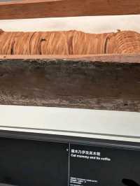 🇪🇬香港都睇到古埃及！故宮文化博物館木乃伊文明大展搶先睇