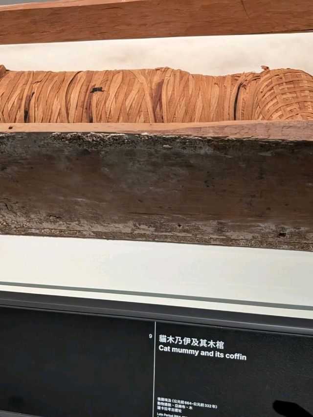 🇪🇬香港都睇到古埃及！故宮文化博物館木乃伊文明大展搶先睇
