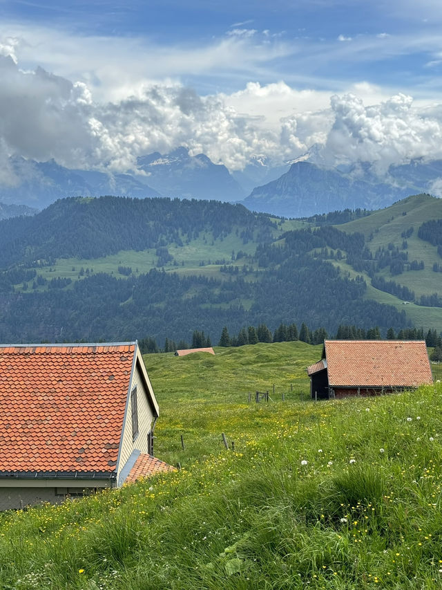 자연하면.. 스위스 그리고 뉴질랜드 자연하면.. 스위스 그리고 뉴질랜드