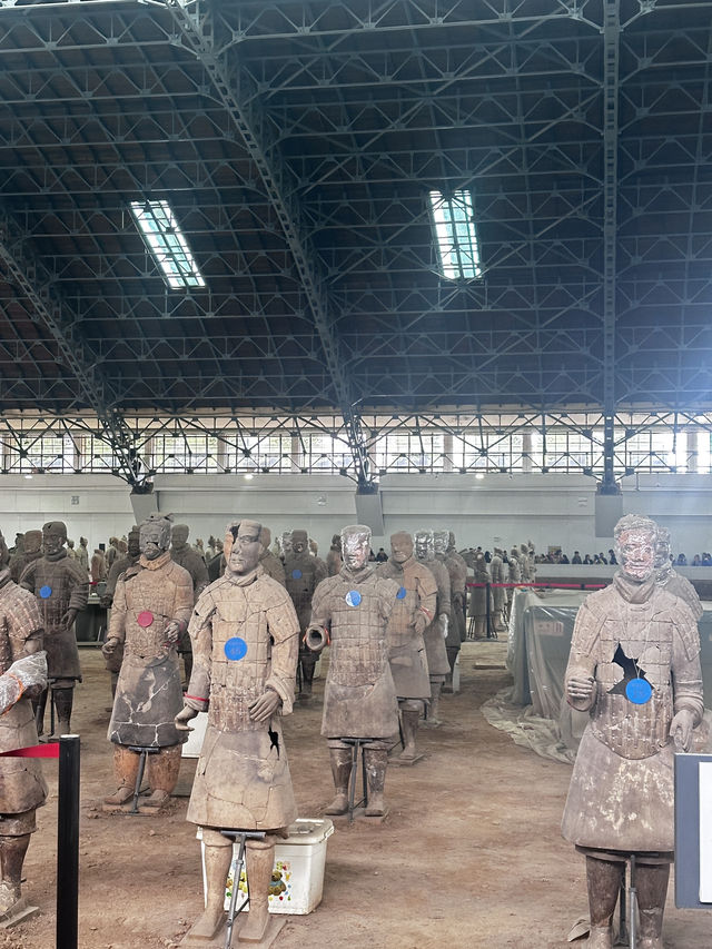 日落雲霧裡的貓影西安 日落雲霧裡的貓影西安