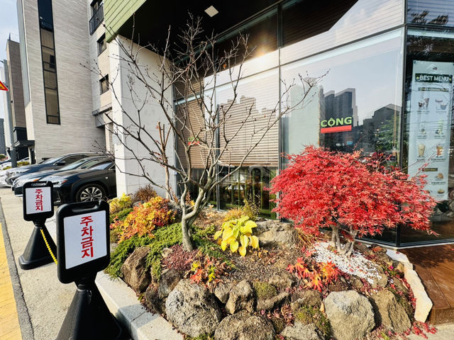 The Coconut Coffee That Stole My Heart ❤️ The Coconut Coffee That Stole My Heart ❤️