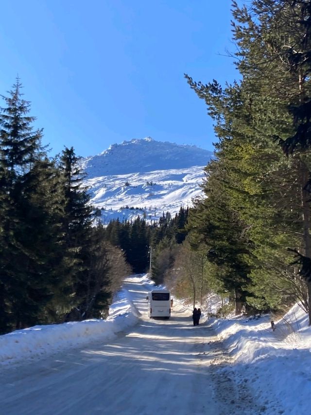 Vitosha Mountain: Skiing with a City View Vitosha Mountain: Skiing with a City View