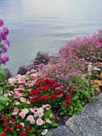 Lake Geneva: Switzerland’s Dreamy Escape You’ll Never Forget 💎🌄