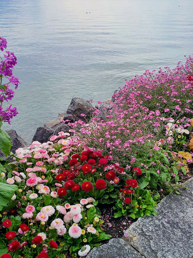 Lake Geneva: Switzerland’s Dreamy Escape You’ll Never Forget 💎🌄