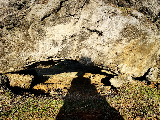 🎄 Festive Stroll & Scenic Escape at Maobitou Park 🎄 Festive Stroll & Scenic Escape at Maobitou Park