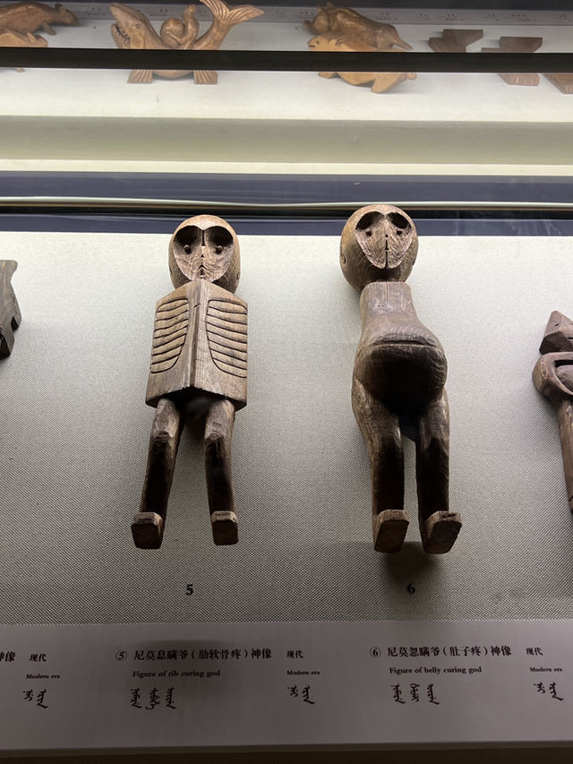 🇨🇳동북지역을 대표하는 성급 박물관 랴오닝성 박물관 가이드