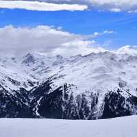藍天下松樹雪峰觀景路線