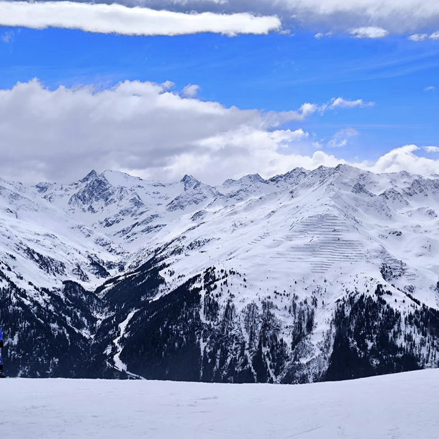 藍天下松樹雪峰觀景路線