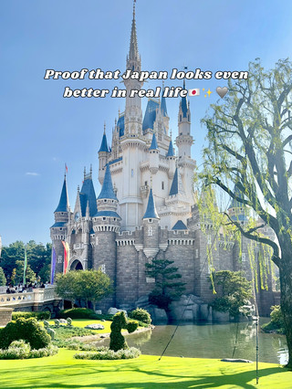 一次日本之旅,改變你對世界的看法🇯🇵✨✈️