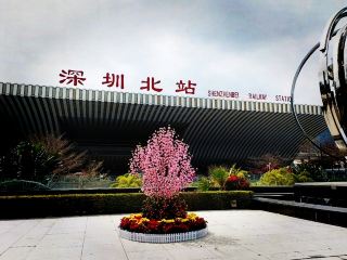 Shenzhen Spring Festival Transport Hub: Shenzhen North Station
