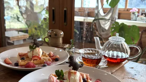 【후쿠오카】자연이 풍부한 장소에 위치한 숨겨진 카페. — traveler post in 도호 촌
