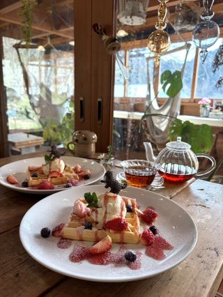 [Fukuoka] A hidden gem of a cafe in a nature-rich area 🌳
