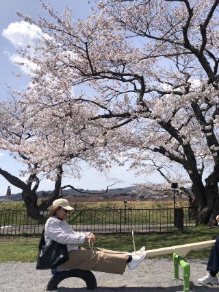 🌸🌸🌸🌸 แม่น้ำโอโนะ โฮคุโตะ