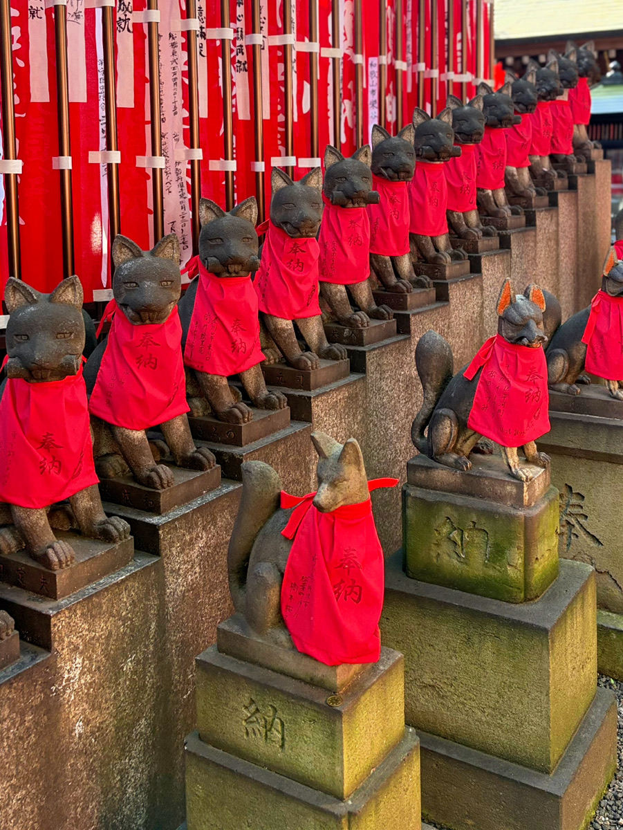  

If you want the absolute best luck in matchmaking, this is the place!!
 Despite being right in the middle of the city, stepping inside feels like entering a whole different world. Today, I'll be introducing the charm of "Toyokawa Inari Tokyo Betsuin," an amazing power spot in Akasaka, in a blog-style post!

 🦊 A Paradise of "Fox Deities" Right in the Heart of Akasaka!? Just a short walk from the subway "Akasaka-mitsuke Station" or "Nagatacho Station".
Suddenly appearing amid the cluster of skyscrapers is a sight lined with rows of red paper lanterns. That is Toyokawa Inari Tokyo Betsuin.
 Actually, despite having "Inari" in its name,
it's not a Shinto shrine but a "temple" (of the Soto Zen sect). Its official name is "Toyokawakaku Myogonji".
 The deity enshrined here is "Toyokawa Dakinishinten," a Buddhist deity riding a white fox.
That's exactly why the temple grounds are filled with fox deities!

 ✨ Must-See Highlights You Can't Miss! 1. The Breathtaking "Reikozuka" (Mound of Spirit Foxes) As you stroll further into the grounds, you'll encounter an area lined with countless stone fox statues. You might be overwhelmed by its sheer impact at first sight, but surprisingly, it isn't scary at all—instead, a somewhat dignified and serene atmosphere fills the air.

 2. Frequented by Celebrities in Secret? "Geino Inari" This spot has long been famous for bringing good fortune in improving artistic skills. If you take a close look at the lanterns around the grounds, you'll spot a slew of names of famous artists and TV talents everyone knows. It truly serves as a sanctuary for people in the entertainment industry.

 3. Complete Your Seven Lucky Gods Pilgrimage Right on the Grounds! Believe it or not, you can pray to all of the "Edo Seven Lucky Gods" within these compact temple grounds. Yuzu Inari: There's a rare tradition here where you can freely take home "Yuzu-kin" (lucky money) enclosed in a yellow pouch, and then return it with a little interest a year later.
If you're aiming to boost your financial luck, you absolutely can't miss this!

 🥢 A Post-Worship Treat: "Inari Sushi" After finishing your prayers, you simply must eat "Inari Sushi" at the souvenir shops on the grounds or at nearby eateries. When you think of Toyokawa Inari, this is exactly what comes to mind, right? The sweet and savory simmered fried tofu pouches will seep right into your tired body.

 💡 Tips for Your Visit Follow Temple Etiquette: Since it's not a Shinto shrine, do not clap your hands. Just bring your hands together in "Gassho" and pray quietly. The Nighttime Vibe is Also Amazing: The atmosphere gets truly magical from evening onward when the lanterns are lit up, but please be mindful of the main hall's visiting hours. When you're feeling worn out by the hustle and bustle of the city, just dropping by this wonderful place will naturally make you stand a little taller and feel refreshed. On your next day off, why not let the "fox deities" in Akasaka heal you?

 ✼••┈┈┈••✼••┈┈┈••✼••┈┈┈••✼••┈┈┈••✼
 ➸ Recommended Spot Info 📍 Toyokawa Inari Tokyo Betsuin 
✤ Address: 1-4-7 Moto-Akasaka, Minato-ku, Tokyo
✤ Access: Tokyo Metro Ginza Line / Marunouchi Line "Akasaka-mitsuke Station" Exit B ▶︎ Approx. 5 mins walk
✤ Access: Tokyo Metro Yurakucho Line / Hanzomon Line / Namboku Line "Nagatacho Station" Exit 7 ▶︎ Approx. 5 mins walk
✤ Parking: Available on-site
✤ Temple Office: 9:00〰️16:00
 ✼••┈┈┈••✼••┈┈┈••✼••┈┈┈••✼••┈┈┈••✼
        