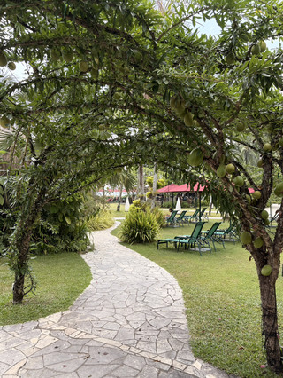 My favorite getaway hotel in Batu Ferringhi
