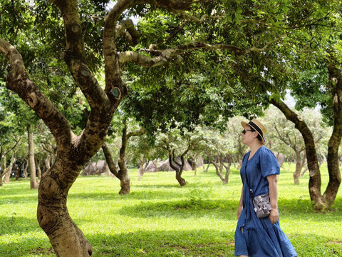 深センのお花畑を巡る半日旅行。 | Trip.com 深セン
