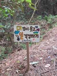 제주도 자유여행 꿀팁 (2편)