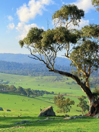 Melbourne Surrounds | Stunning Hiking Trail Just 1h Away❤️