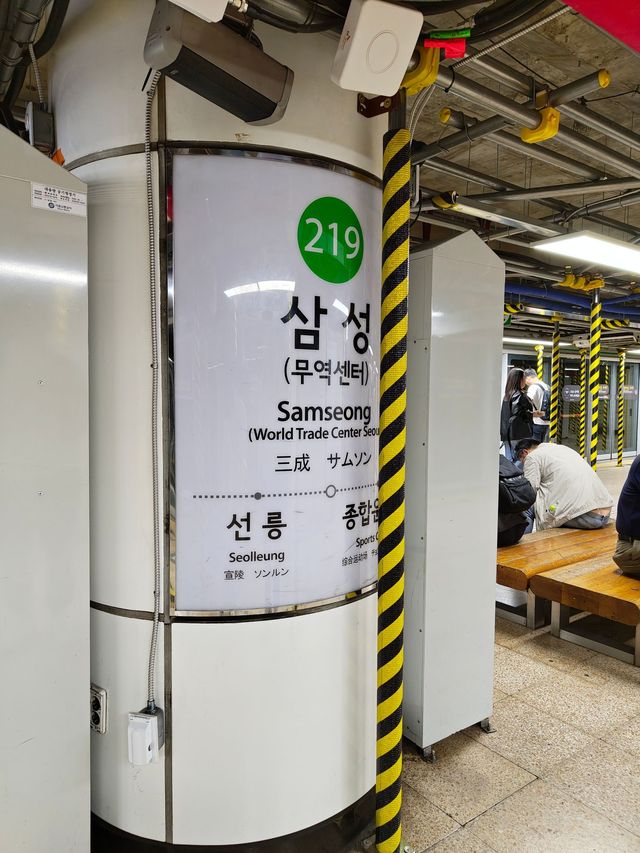 🇰🇷✨Seoul Travel Guide: Exploring Gangnam from Coex & Parnas