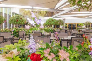 [A Stunning French Oasis on the Tsim Sha Tsui Waterfront] Exquisite Palace-Style French Dining at Harbour City! Épure: Michelin One-Star Excellence × Luxury Design by Yabu Pushelberg × Exclusive Garden Terrace Overlooking Victoria Harbour. 