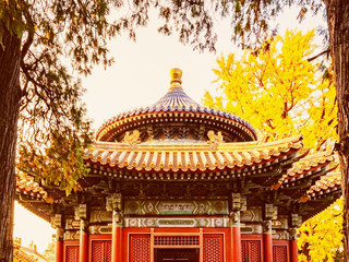 Imperial Red Walls And Golden Ginkgos