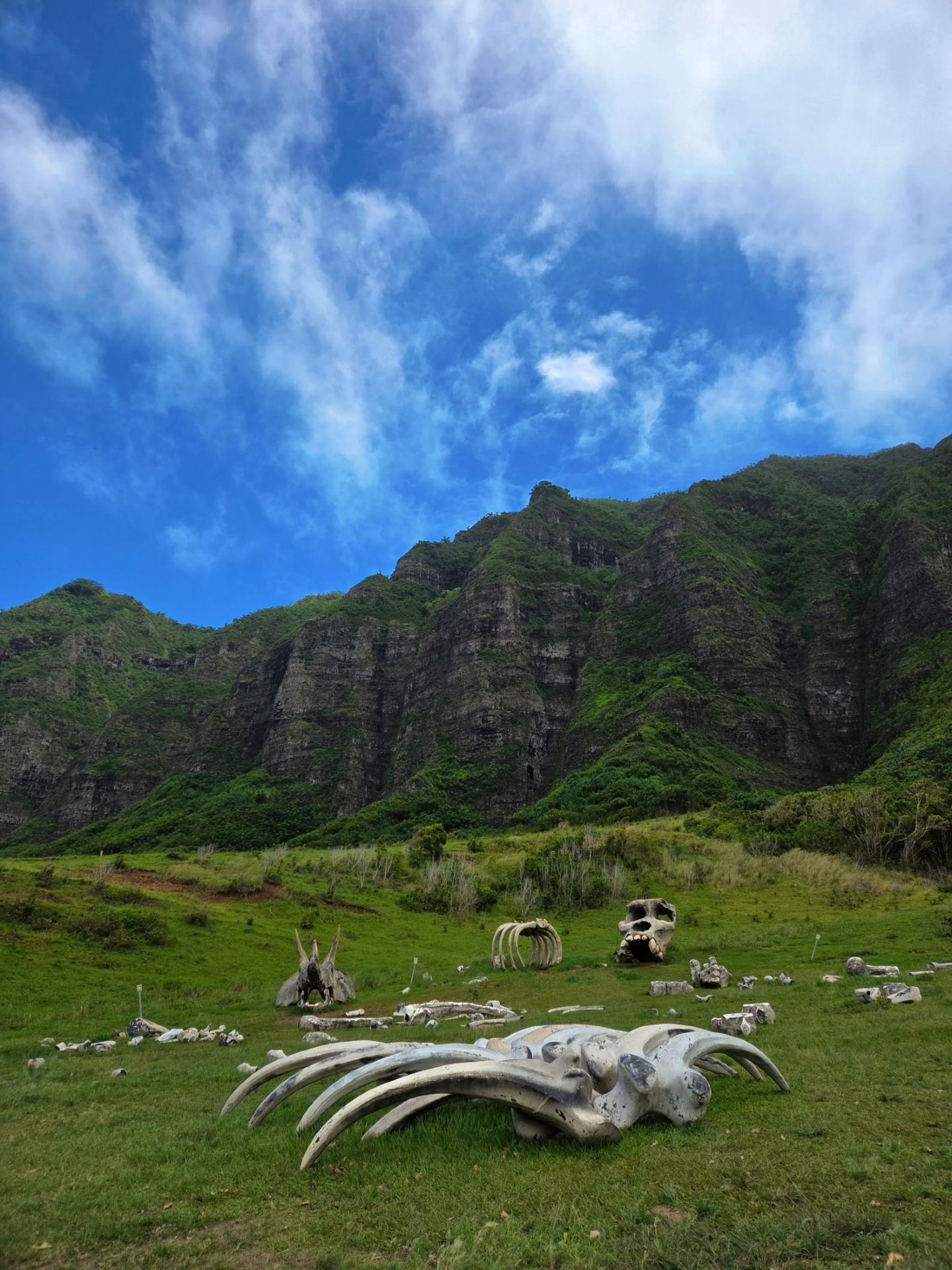 Step into Jurassic Valley! A Cinematic Encounter with Nature at Kualoa Ranch, Hawaii 🦖⛰️