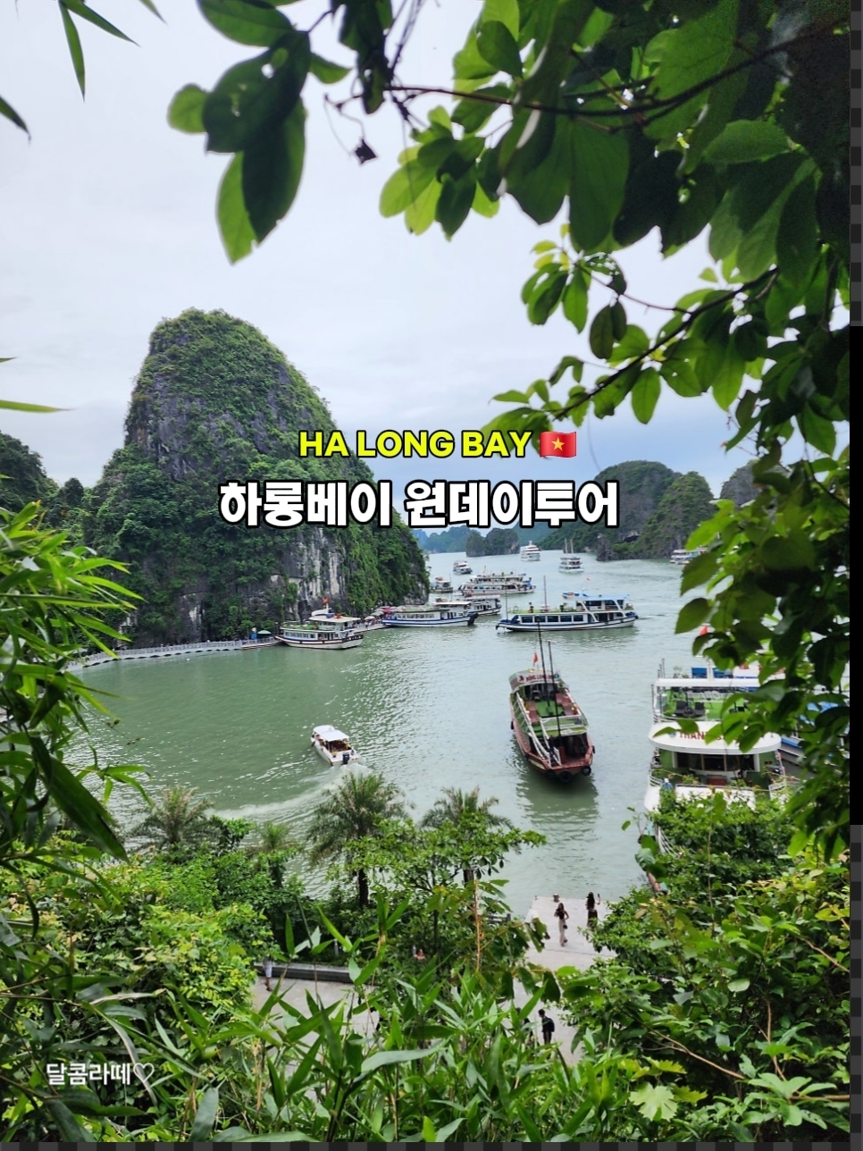 Orang tua dan anak bakal puas 200%! Paket tur 1 hari ke Ha Long Bay yang super nyaman dan mewah.