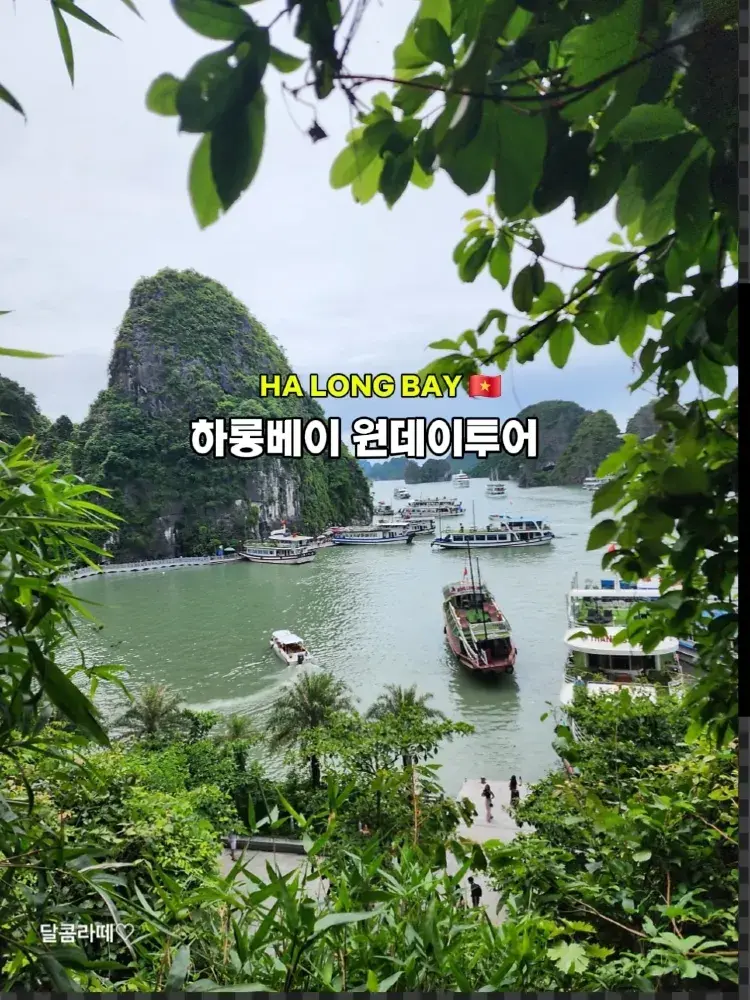 부모님도 아이도 200% 만족! 편안함과 럭셔리를 다 잡은 하롱베이 1일 투어