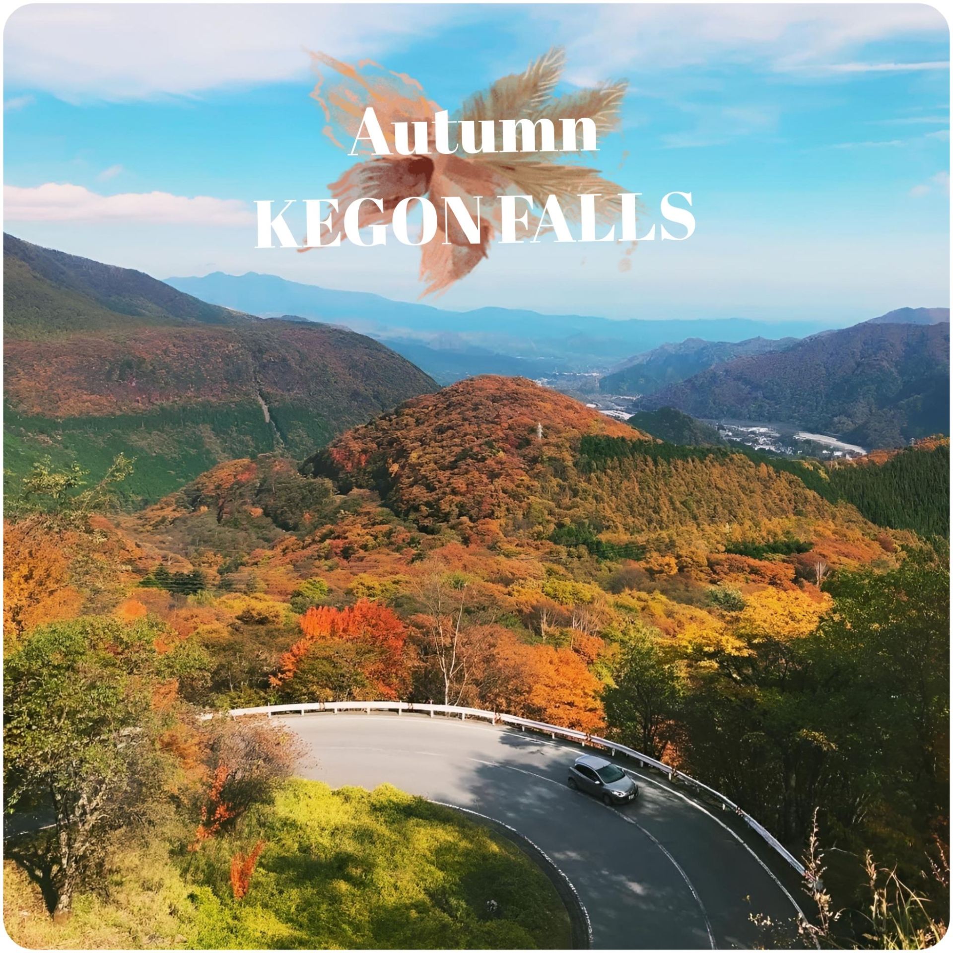 🍁📸 Kegon Falls in Autumn: Nature Understood the Assignment! 😍🇯🇵