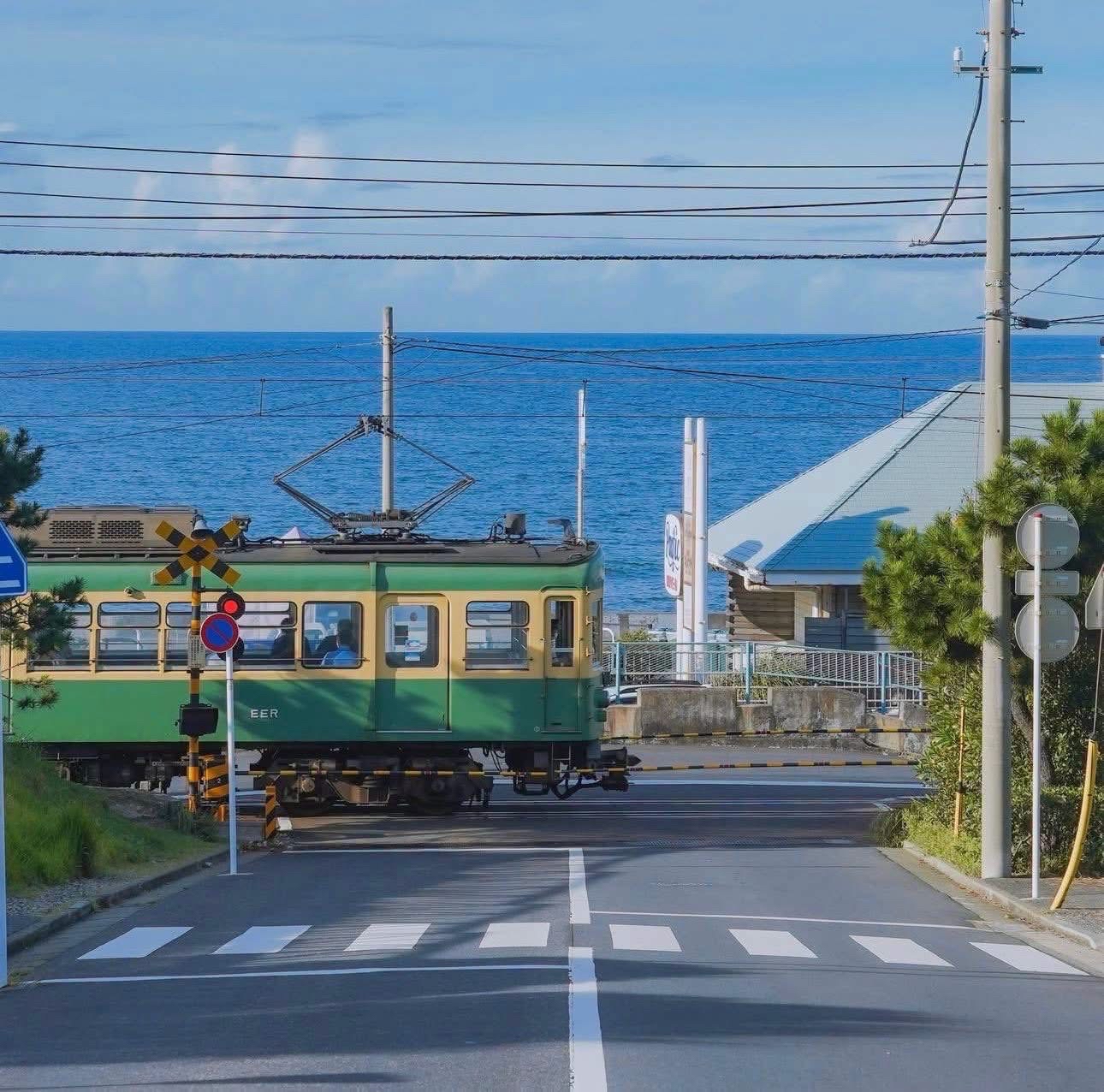 🌊 Is Kamakura Overrated? Let’s Discuss! 🇯🇵👀